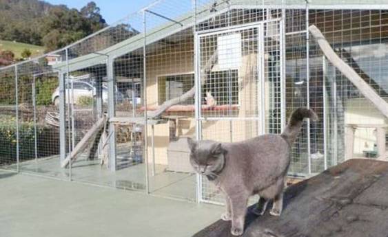 A Tender Loving Cattery ... Country Cat Motel, where your cat is king