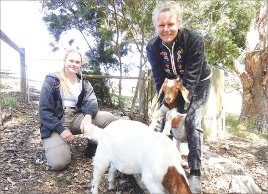 Life as a COVID-fighting goat farmer
